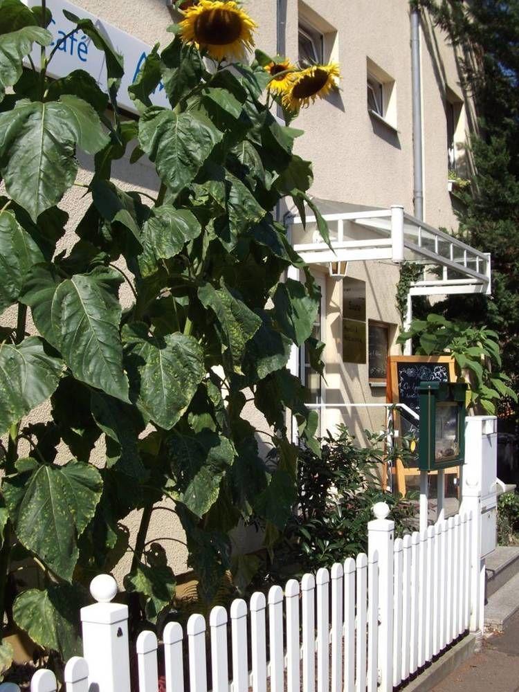 Pension & Cafe Am Kraehenberg Halle  Luaran gambar